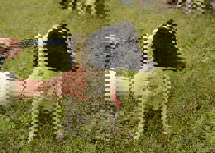 careday_026.jpg
