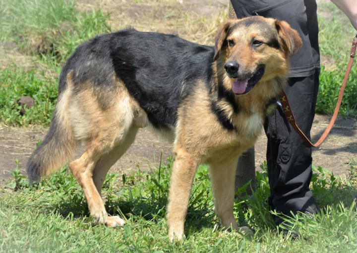 DSH_1466.jpg