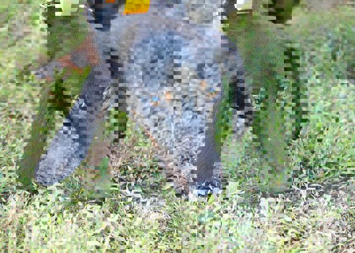 16_08070023.JPG