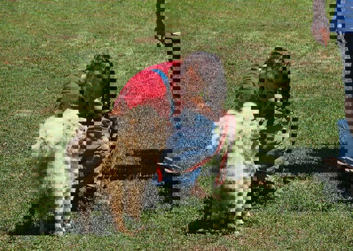16_08070119.JPG