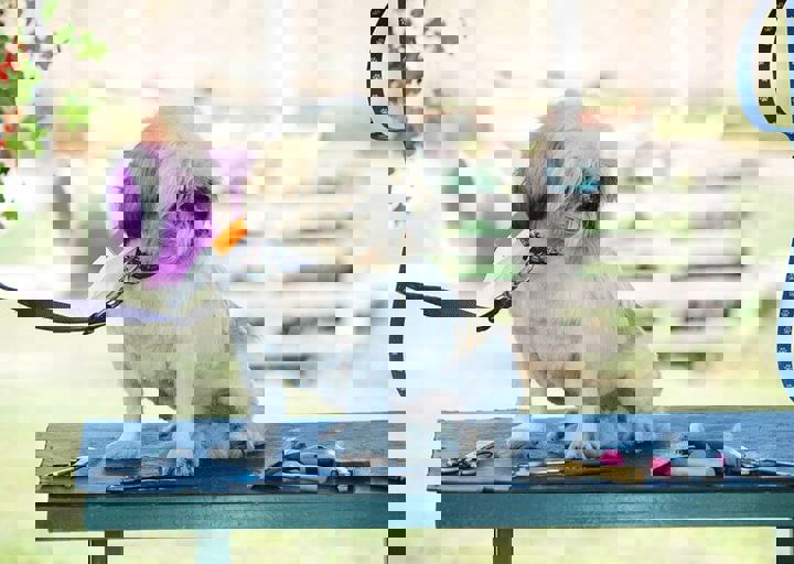 16_08070132.JPG