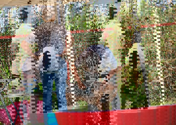 16_08070161.JPG