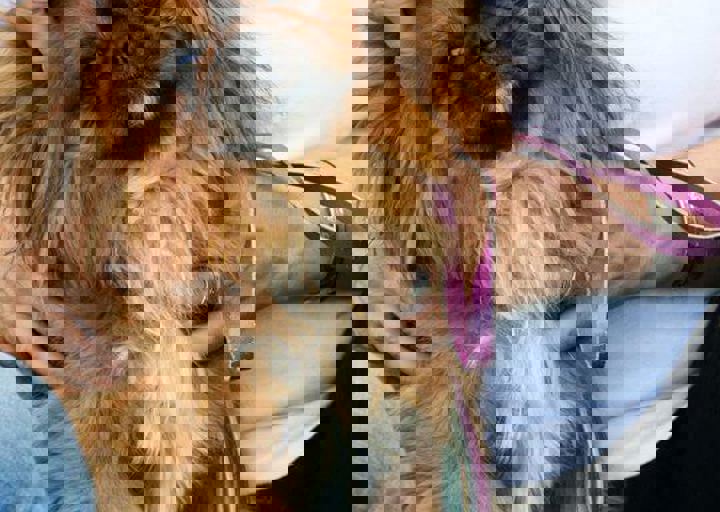 16_05220031.jpg