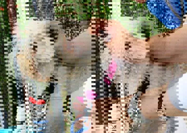 16_05220104.jpg