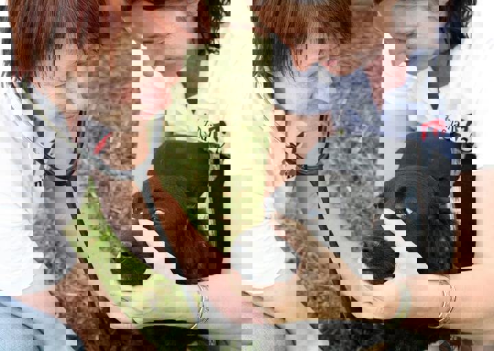 16_05220122.jpg