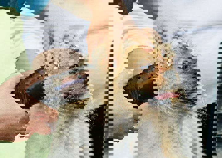 16_05220163.jpg