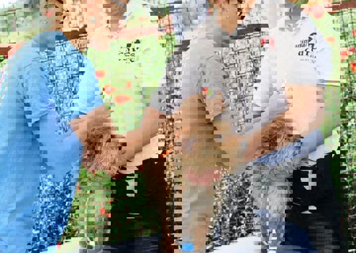 16_05220404.jpg