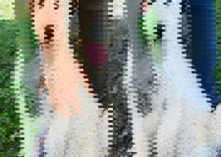 16_05220456.jpg