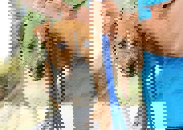 16_05220465.jpg
