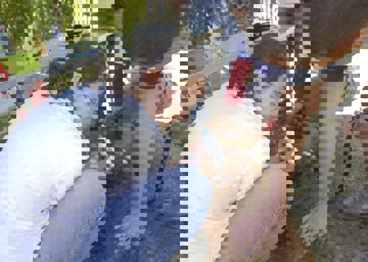 _BZS2394.JPG