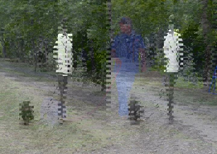 _BZS2469.JPG