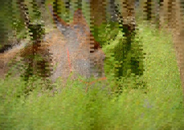 16_05150138.jpg