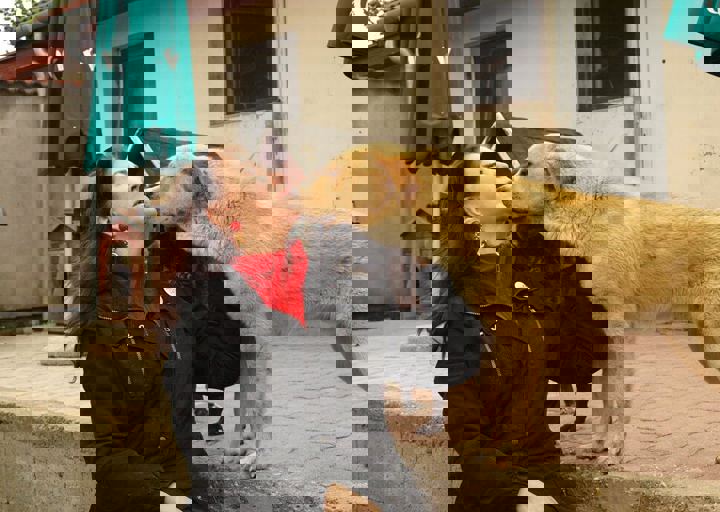 16_05150222.jpg