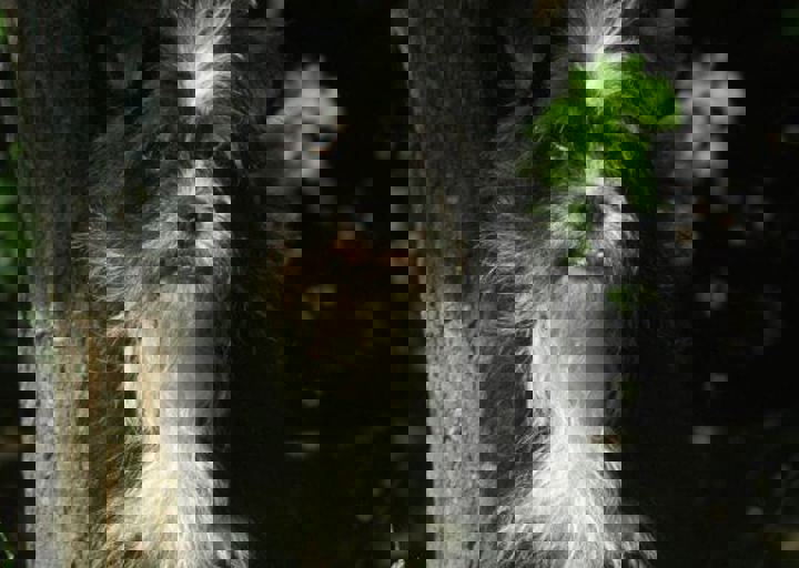 DSC_1589.JPG