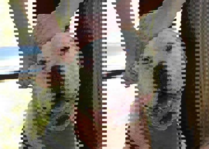 17_06110024.jpg
