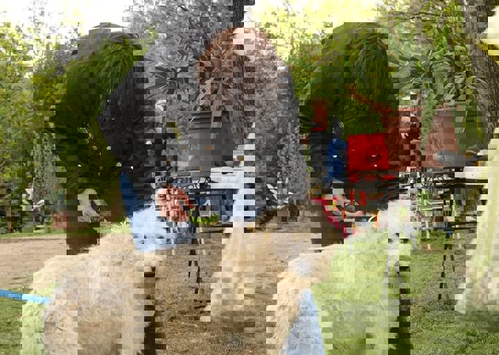 16_05150368.jpg