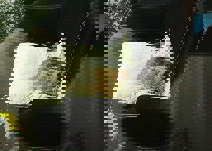 16_05150371.jpg