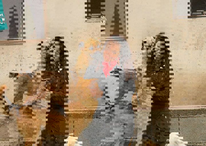 16_05150384.jpg