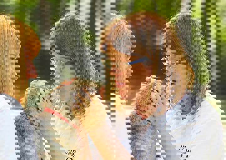 17_06110079.jpg