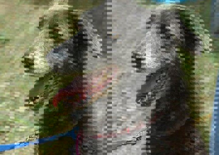 DSC_1811.JPG