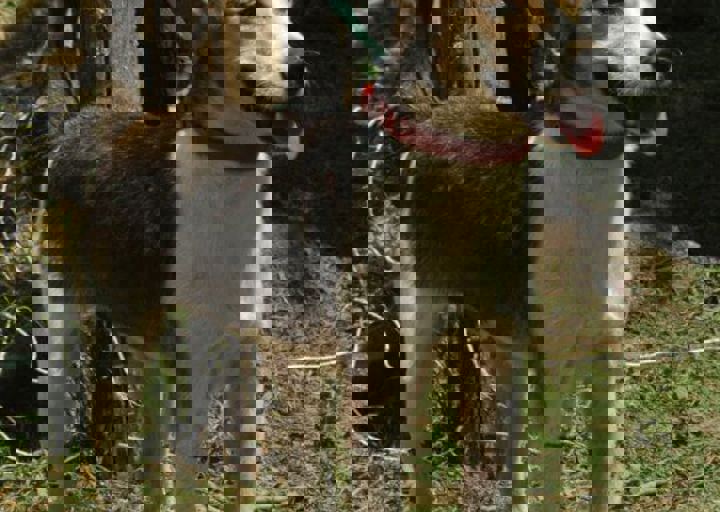 DSC_1862.JPG