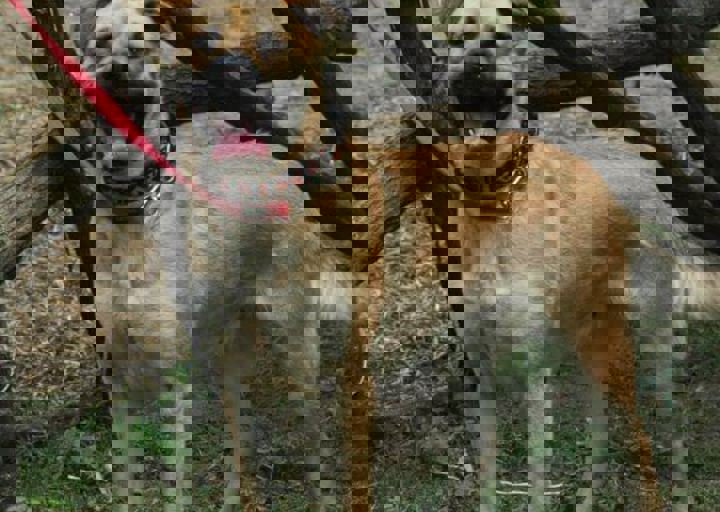 DSC_1874.JPG