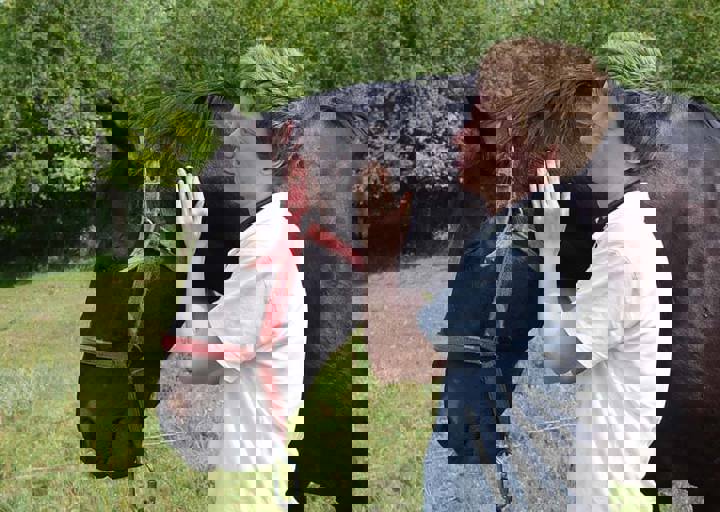 17_06110186.jpg