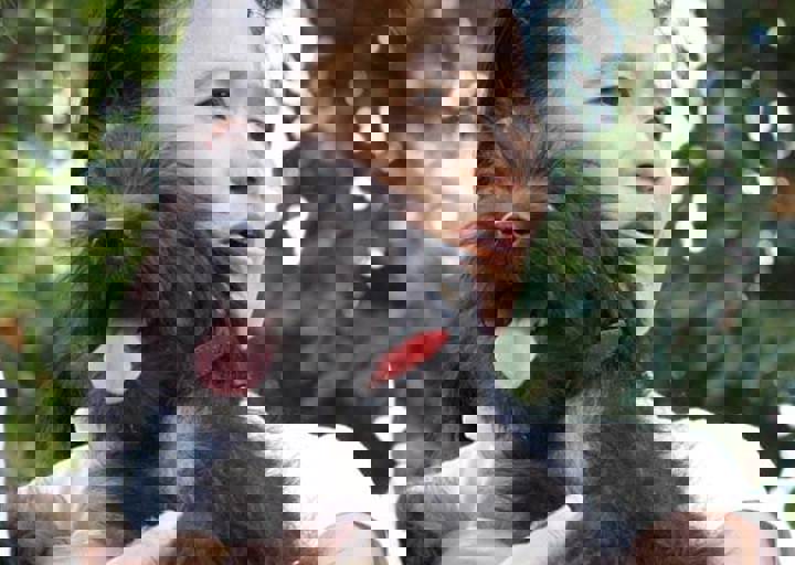 17_06110197.jpg
