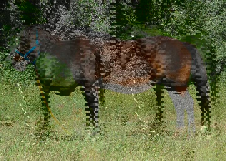 DSC_1966.JPG