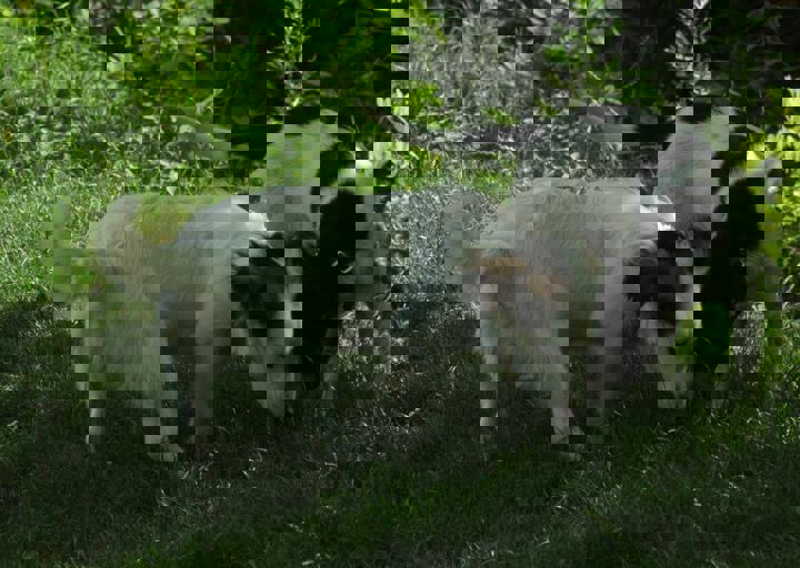 DSC_1983.JPG
