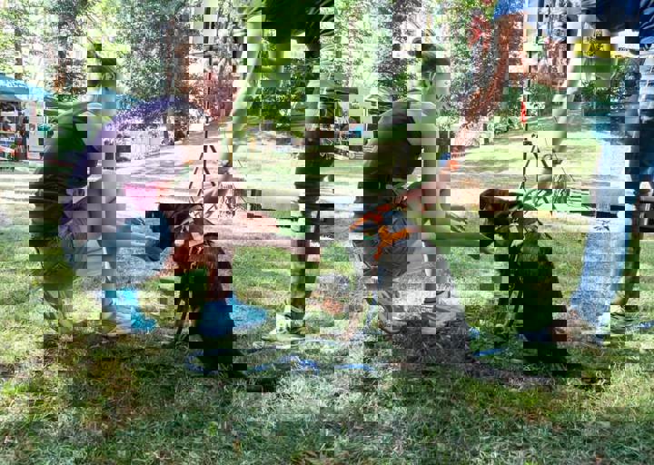 DSC_6145.jpg