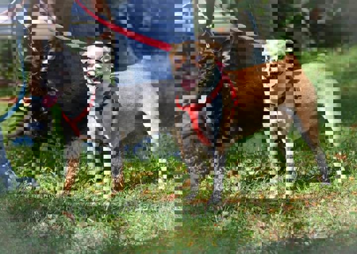 ACA_Sommerfest_09_16_0052.jpg