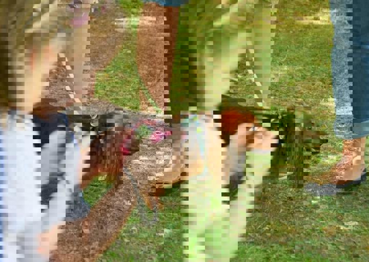 ACA_Sommerfest_09_16_0077.jpg