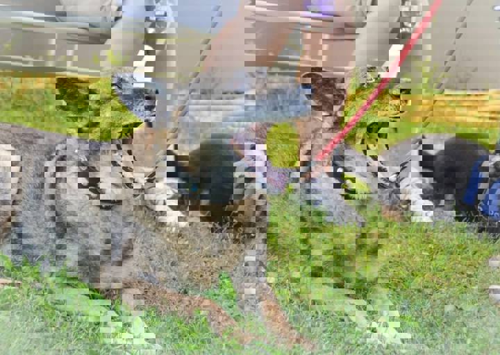 ACA_Sommerfest_09_16_0083.jpg