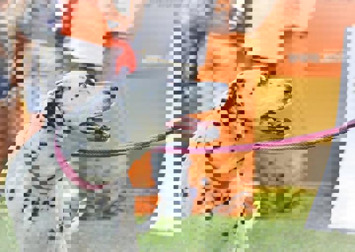 ACA_Sommerfest_09_16_0095.jpg