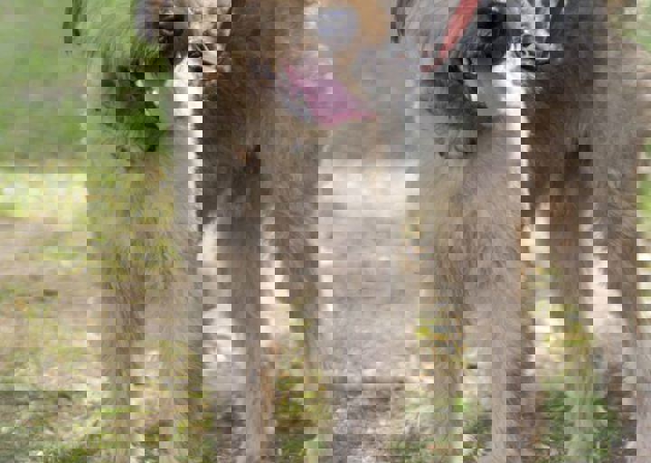 ACA_Sommerfest_09_16_0147.jpg