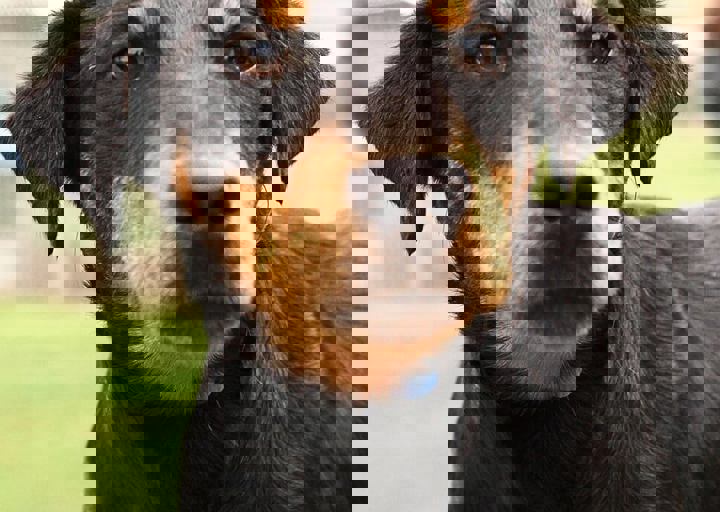 17_08200092.JPG