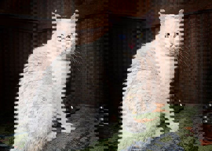 17_08200124.JPG