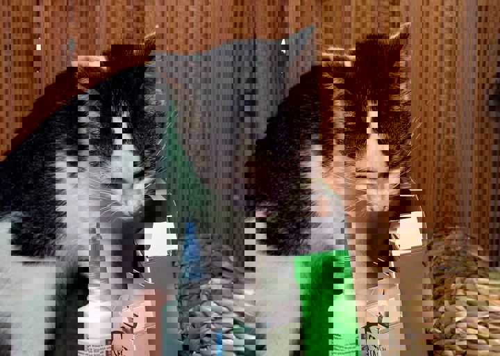 17_08200167.JPG