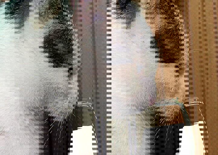 17_08200169.JPG