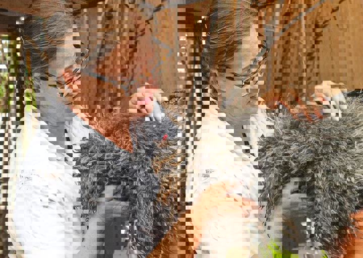 17_08200213.JPG