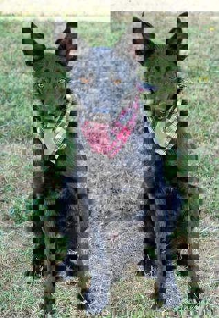 Wanda_3.jpg (2)