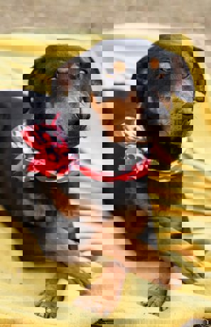 Elena_3.jpg (1)