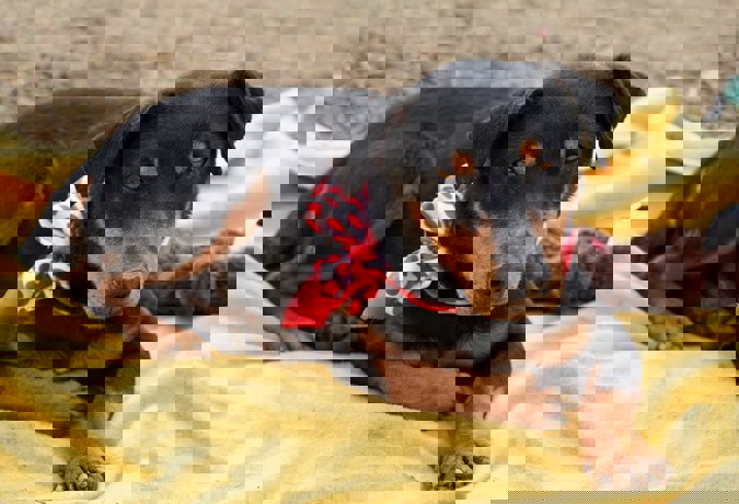 Elena_2.jpg (1)