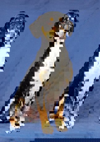 Mimi_3.jpg (5)
