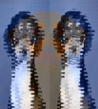 Mimi_2.jpg (5)
