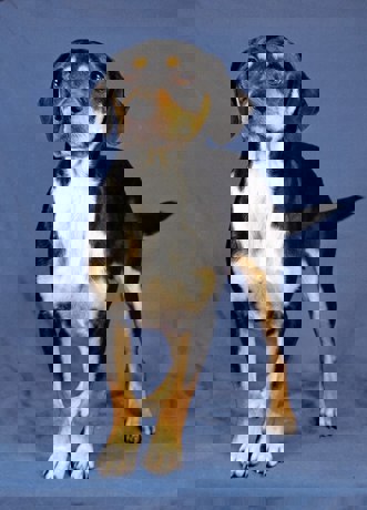 Mimi_4.jpg (5)