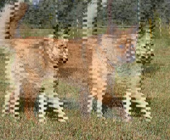 Abu_2.jpg