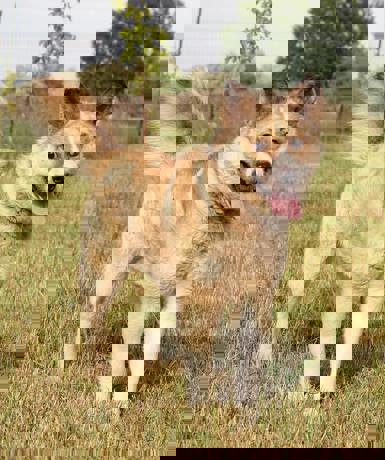 Abu_3.jpg