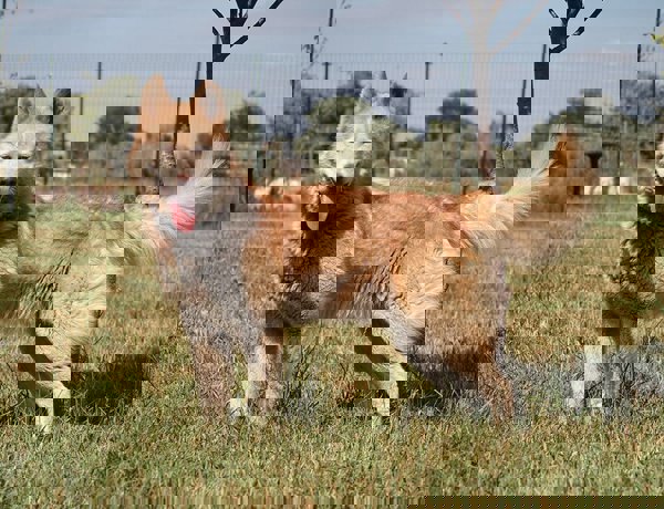 Alvin_2.jpg